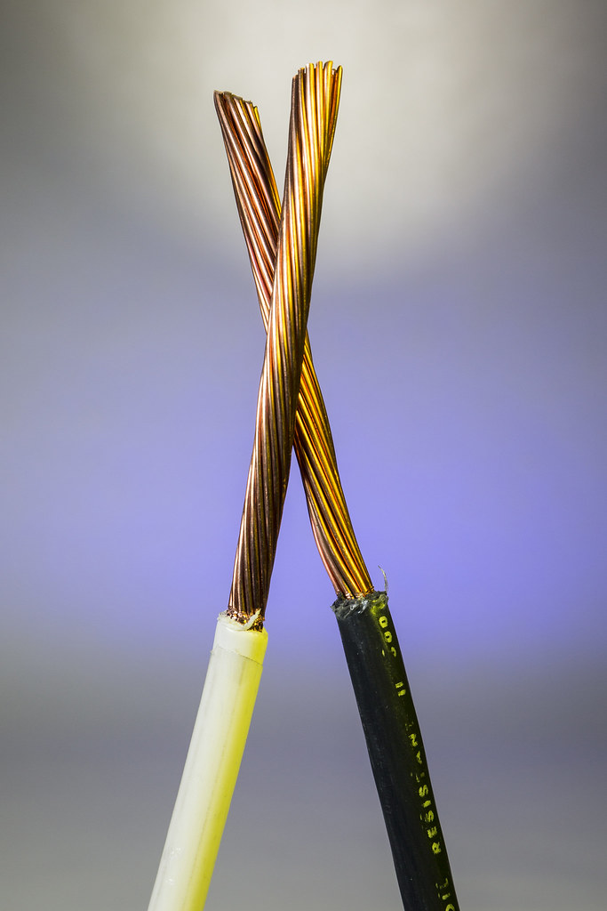Two braided copper wires