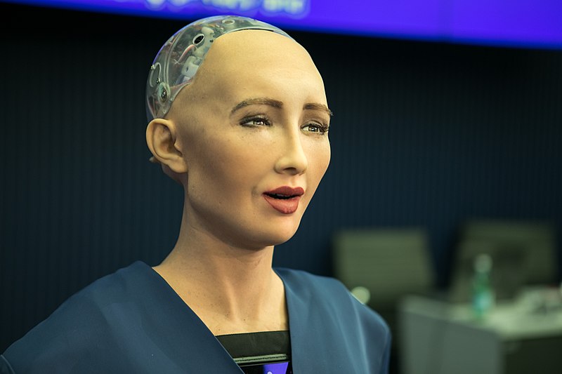 The Sophia humanoid robot