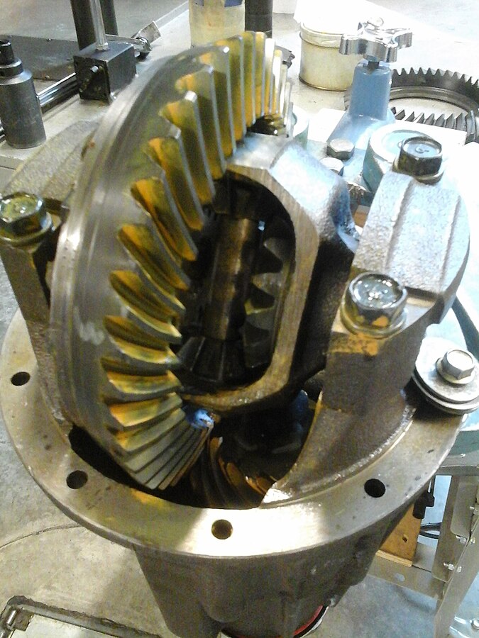 Hypoid gears within a rear automotive differential
